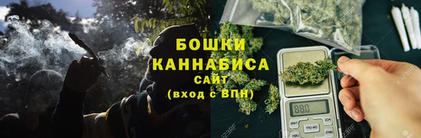 дмт Протвино