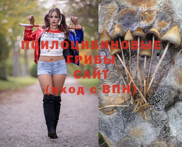 таблы Россошь
