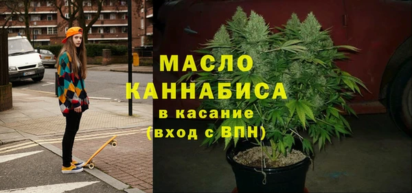 дмт Протвино