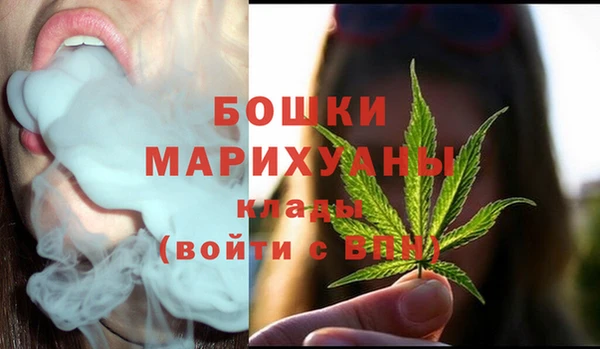 дмт Протвино