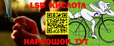 индика Будённовск