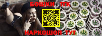 индика Будённовск
