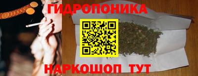 индика Будённовск