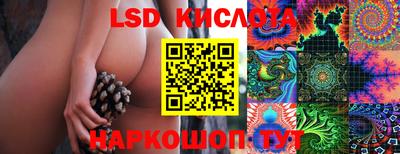 индика Будённовск