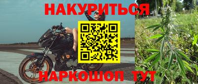 индика Будённовск