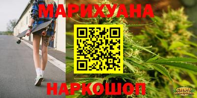 сатива Бузулук