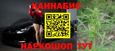 сатива Бузулук