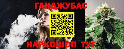индика Будённовск