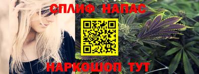 индика Будённовск