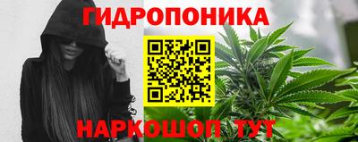 сатива Бузулук