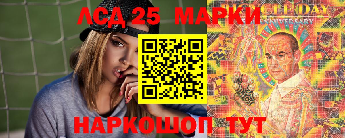 Псилоцибиновые грибы Чита