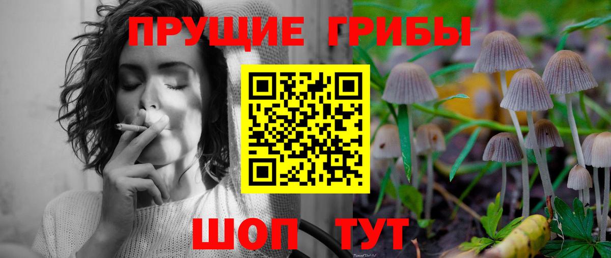 Галлюциногенные грибы Psilocybine cubensis Чита