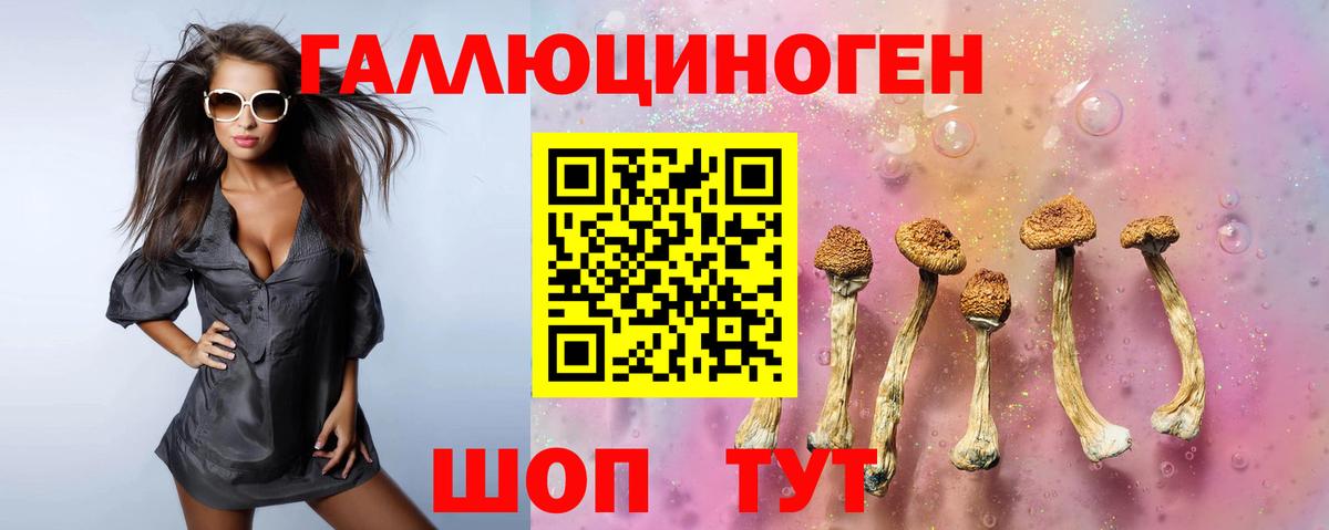 Галлюциногенные грибы Psilocybe  Вход с VPN  Галлюциногенные грибы мицелий  Чита 